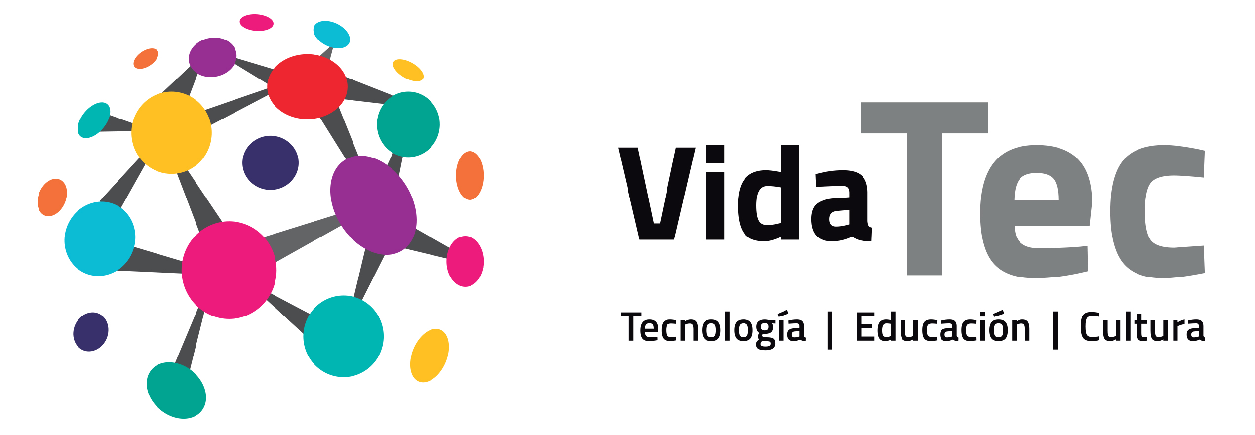 VIDA TEC